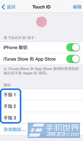 iPhone5sθָ