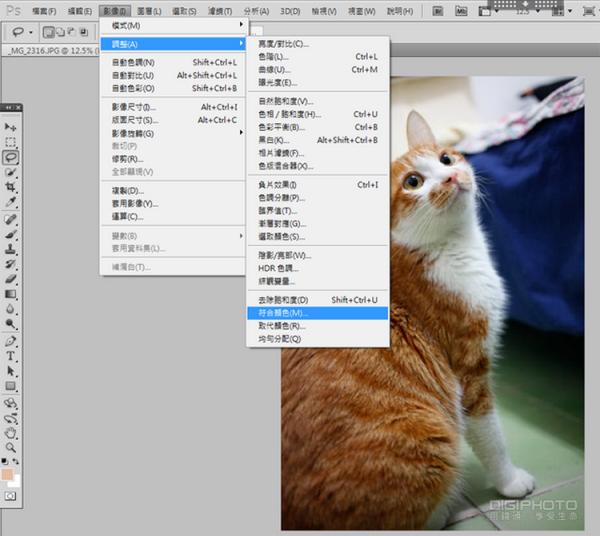 PhotoshopοٸƵӰɫ