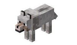 ҵ硷ʲô ¶ȫ֪ʶܽ