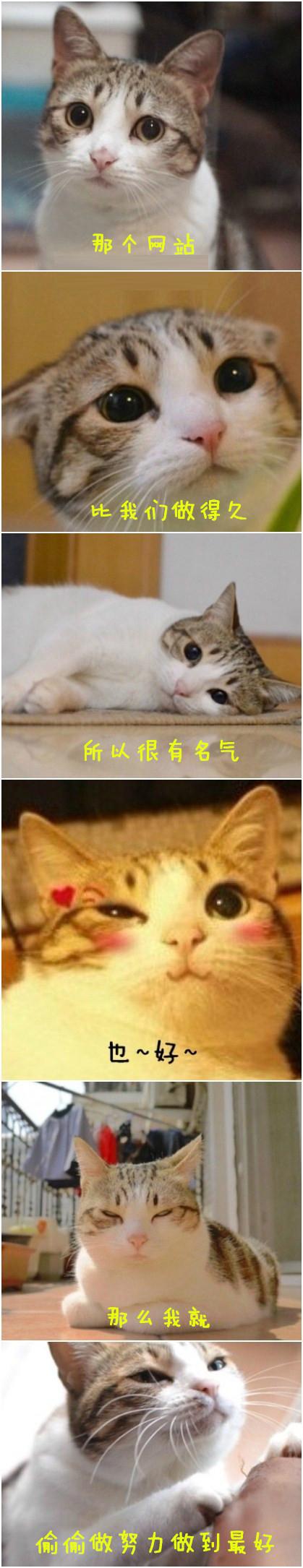 ͼƴͼ̳ ʧ