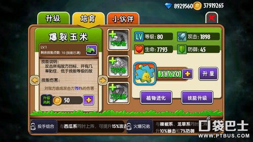 ֲսʬȫǡPvZСϷô PvZСϷ