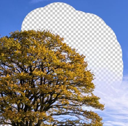 psʵý̳̣ƤҲܿͼ