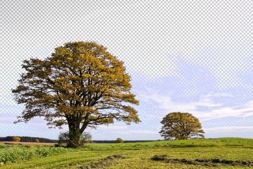 psʵý̳̣ƤҲܿͼ