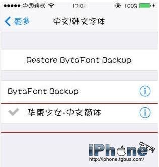 iPhone6 Plus޸ϸ̳