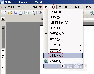 wordʽ༭