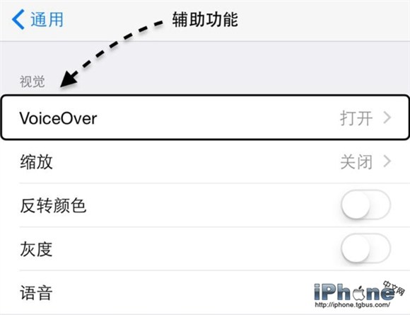 iPhone5 VoiceOverزô