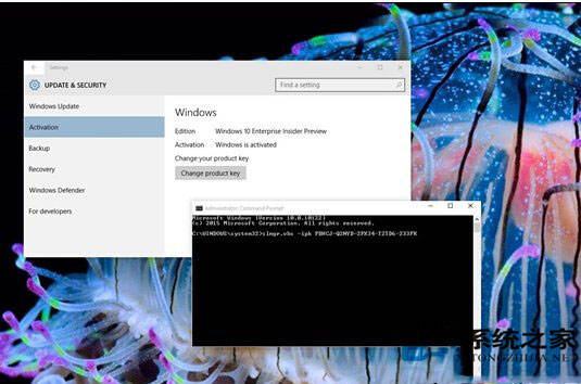 Win10ϵͳ10122޷ν