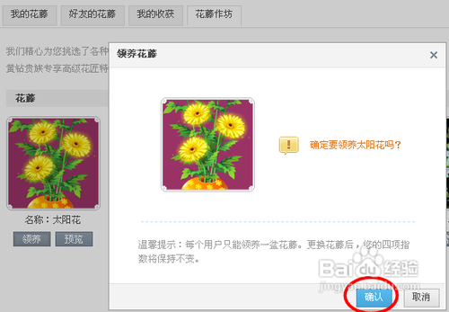 qqռ仨ôŪ