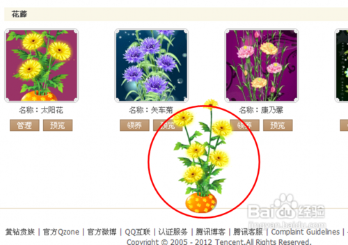 qqռ仨ôŪ