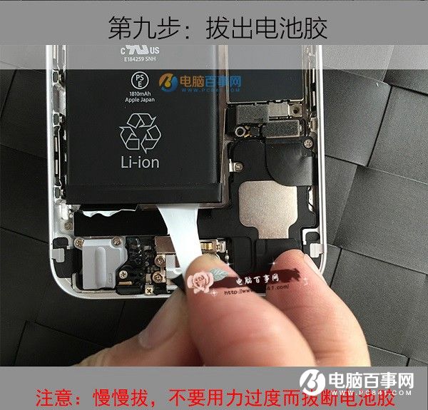 iPhone6logoθװ
