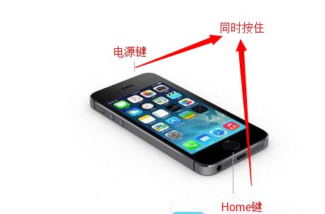 iPhone5sô