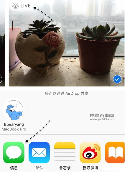 iphoneηLive PhotoƬiphoneLive PhotoƬ̳