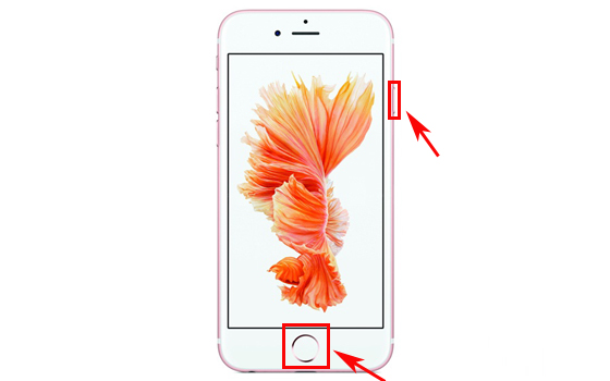 ƻiPhone7