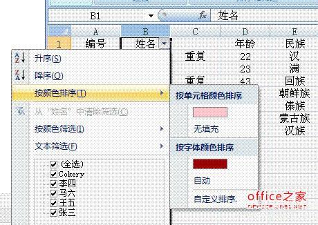 excelɸѡظ