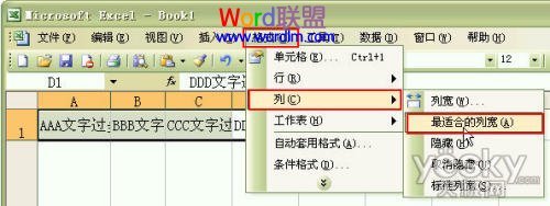 Excel2003ԪֺԶиߺп