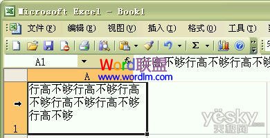 Excel2003ԪֺԶиߺп