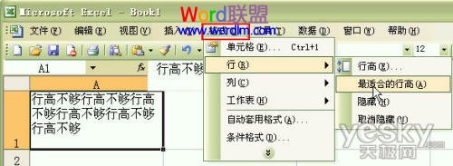 Excel2003ԪֺԶиߺп